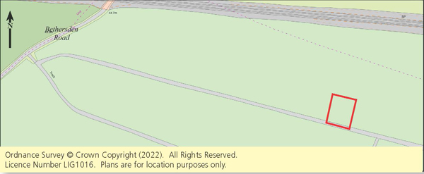 Lot: 85 - TWO FREEHOLD PLOTS OF WOODLAND - 